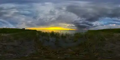 Darscho / Warmsee (Nordufer) bei Apetlon