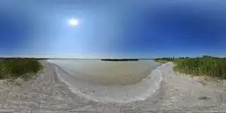 Darscho / Warmsee (Nordufer) bei Apetlon