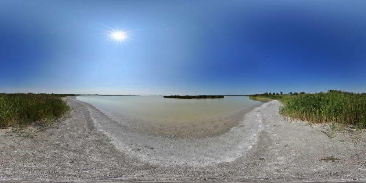 Darscho / Warmsee (Nordufer) bei Apetlon (Foto: © Werner Pietschmann)