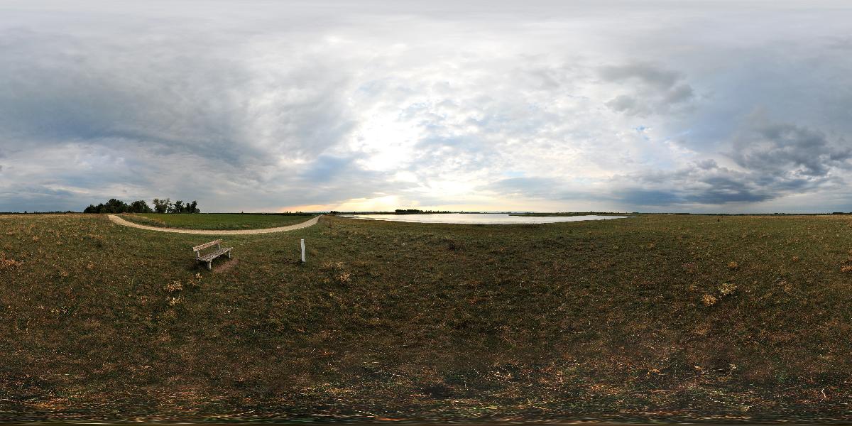 Große Neubruchlacke im Nationalpark Neusiedler See - Seewinkel (Foto: © Werner Pietschmann)