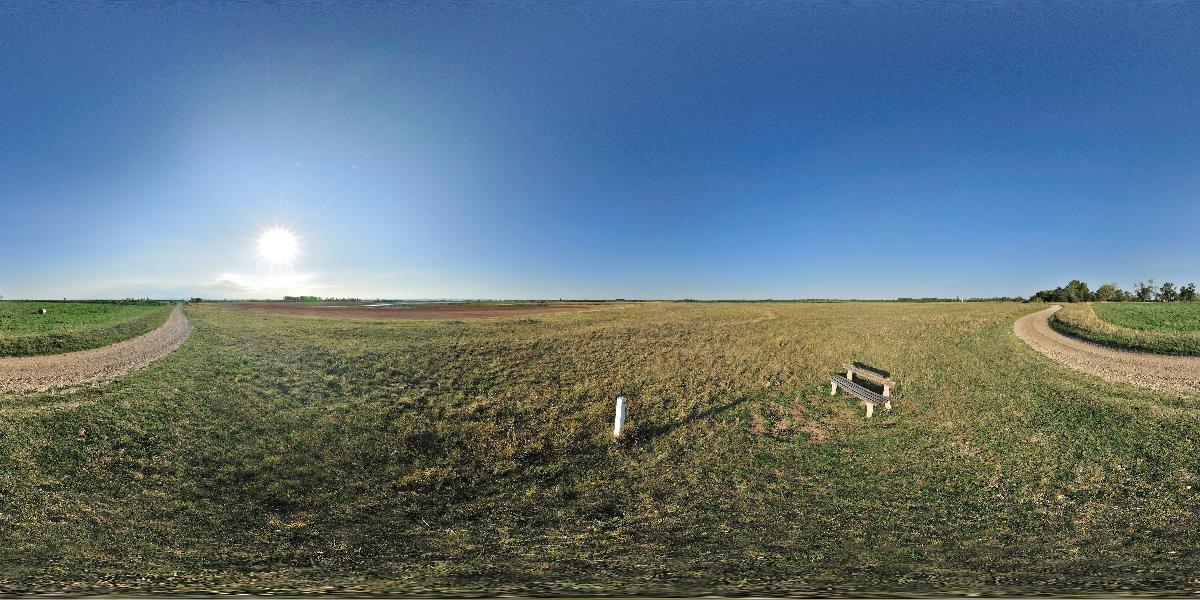 Große Neubruchlacke im Nationalpark Neusiedler See - Seewinkel (Foto: © Werner Pietschmann)