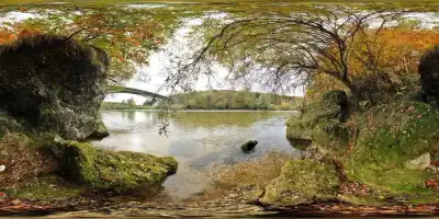 Isarauen bei Grünwald