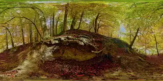 Isarauen bei Grünwald