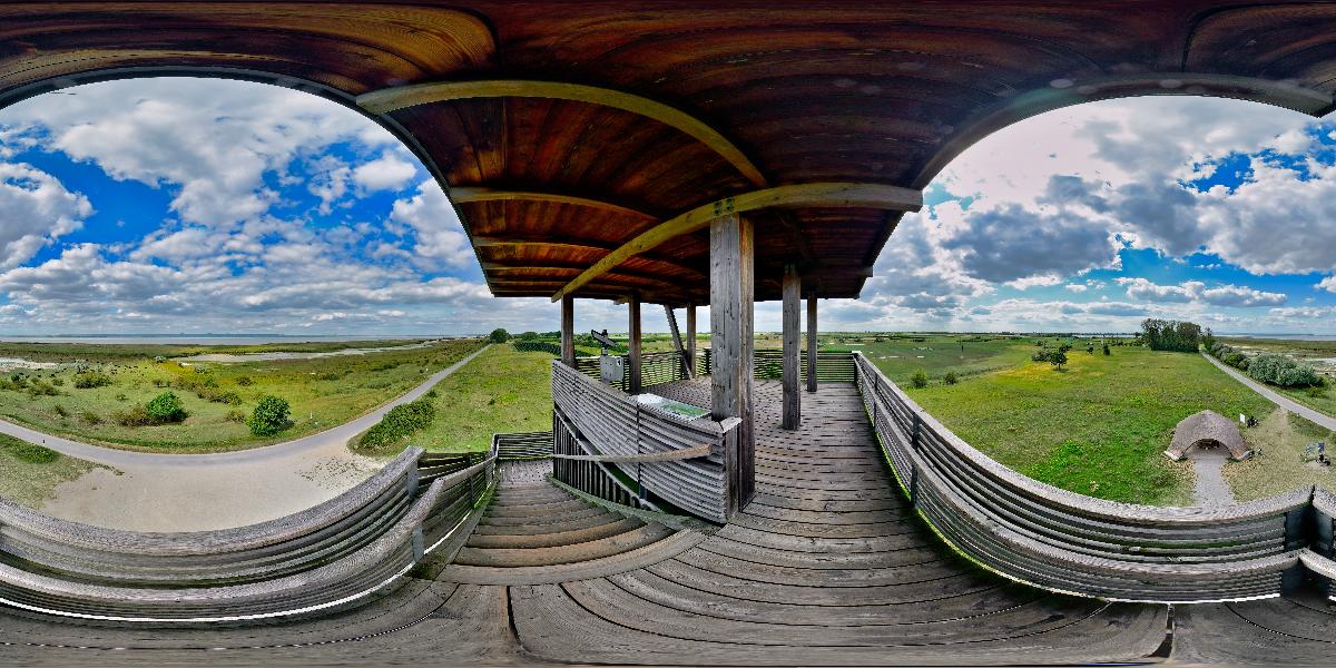 Aussichtsturm in der Hölle bei Illmitz (Foto: © Werner Pietschmann)