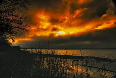 Starnberger See