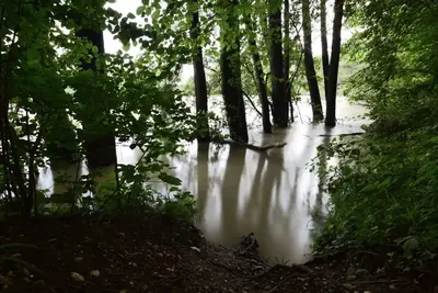 Keine Beschreibung vorhanden