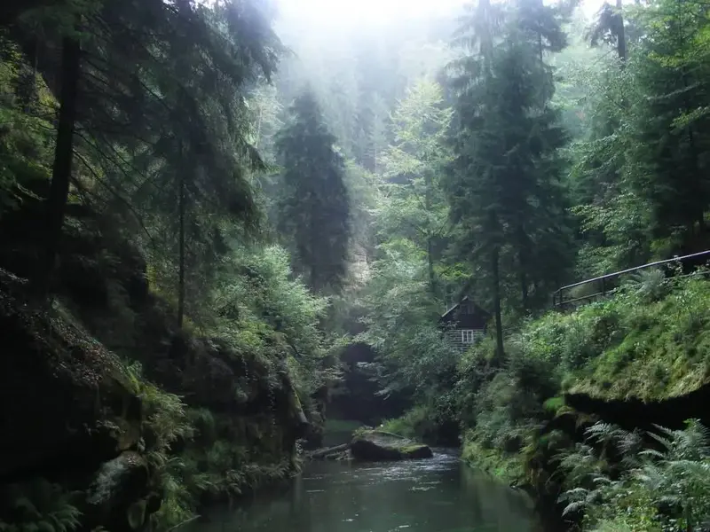 Foto: © Werner Pietschmann Edmundsklamm in der Böhmischen Schweiz