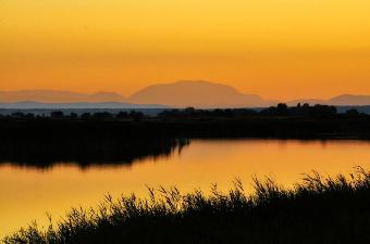 Region Neusiedler See - Seewinkel, fotografiert von Werner Pietschmann